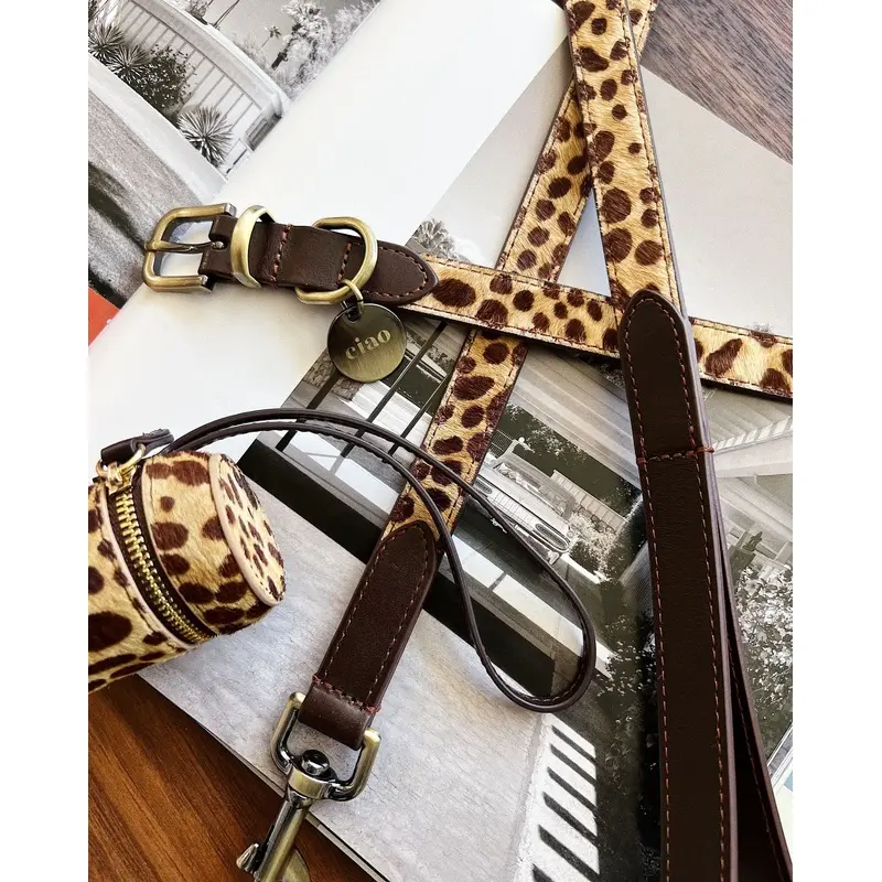 Wylde Brown Spotted Dog Bundle