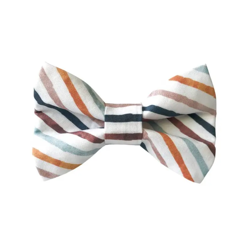 Take a Bow Striped Cotton Bow Tie