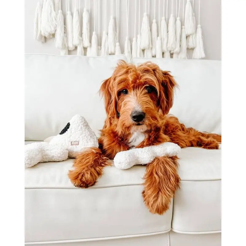 Wags + Wiggles Squiggle Plush Toy