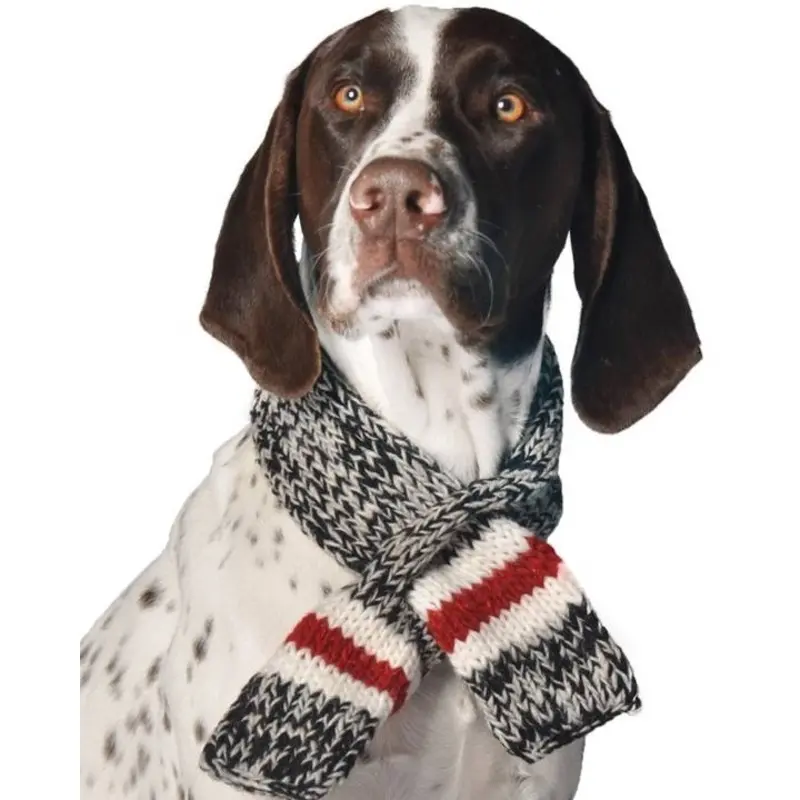 Stormy Weather Boyfriend Pet Scarf
