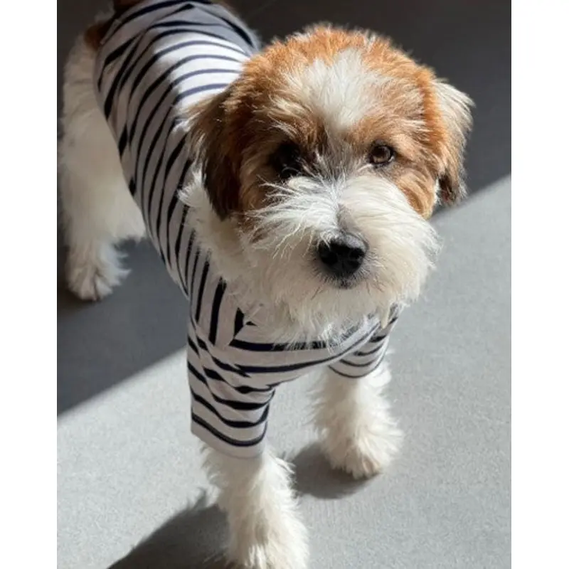 Tiny Gondolier Oatmeal + Navy Stripe Tee
