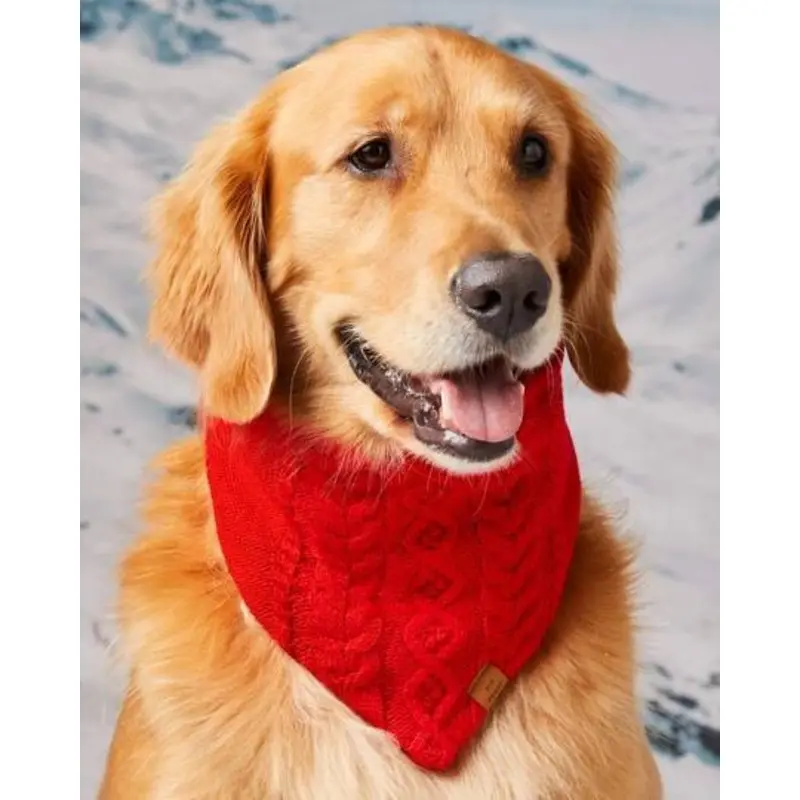 Total Sleigh Red Cable Knit Dog Bandana