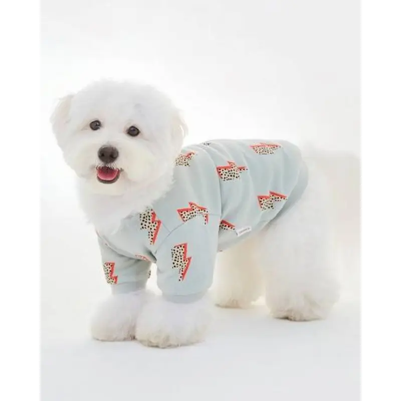 Strike a Pose Dog Sweatshirt