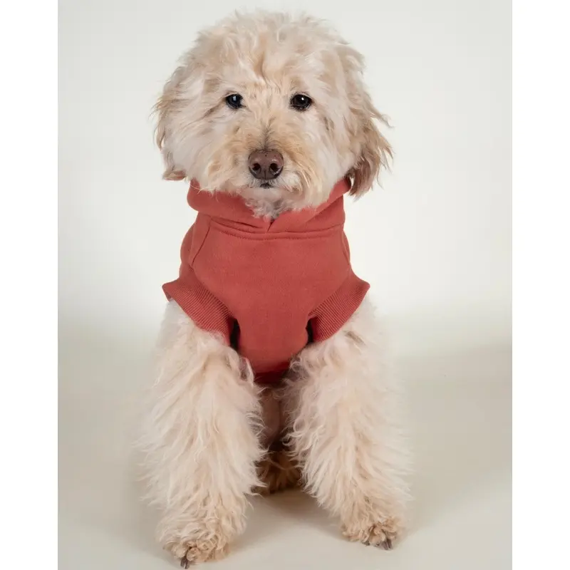 Bradley Cayenne Red Short Sleeve Dog Hoodie