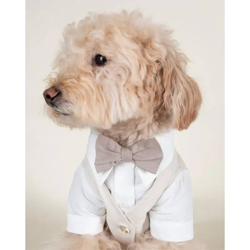 We Do Wedding Three-fer Button Up