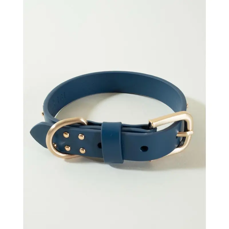 What a Stud Anchor Blue Leather Dog Collar