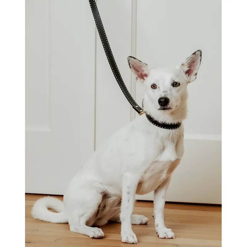 Take the Lead Black Leather Walk Kit, Collar + Leash