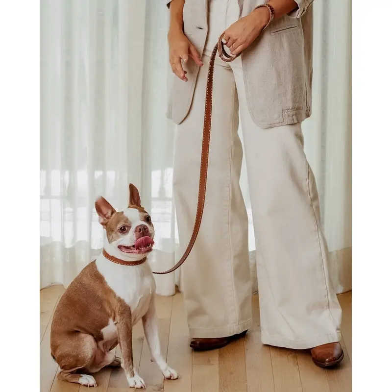 Take the Lead Tan Leather Walk Kit, Collar + Leash