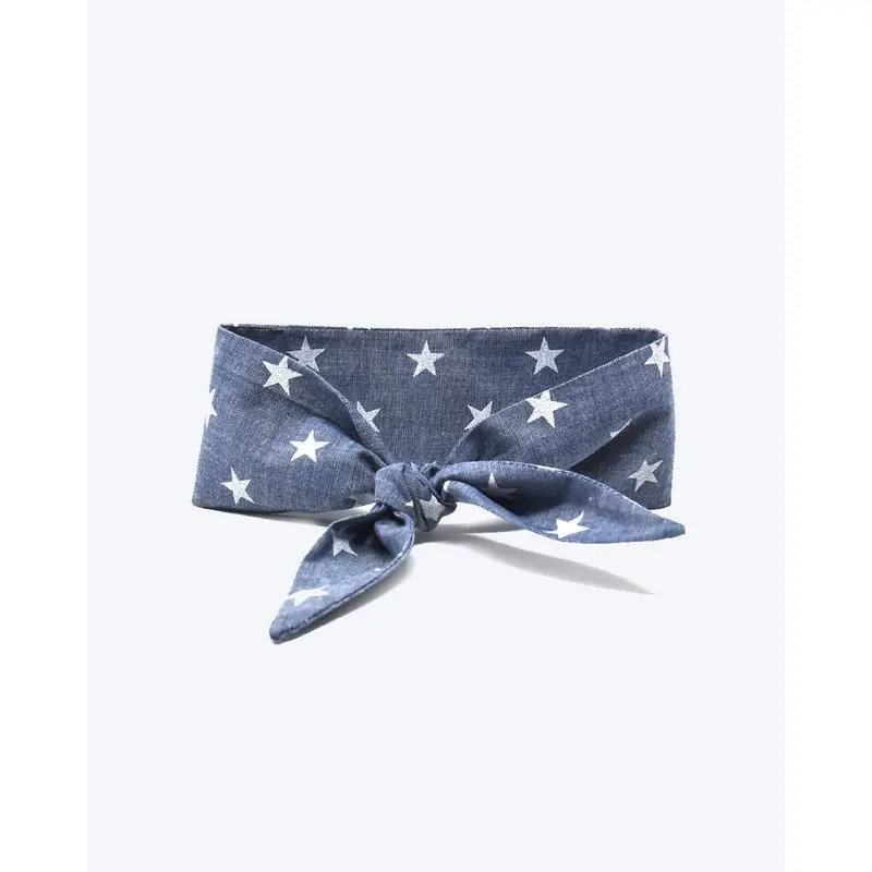 Stargazer Classic Dog Necktie