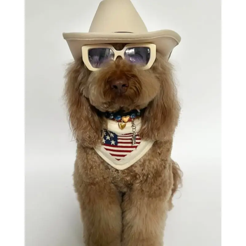 Stars + Snuggles Bandana