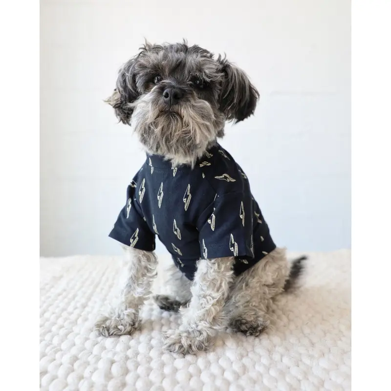 Strike a Pose Lightning Bolt Dog T-Shirt