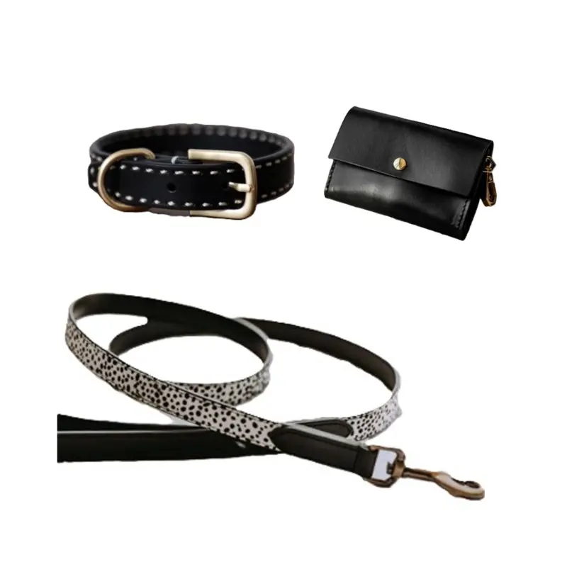 Take the Lead + Wylde Walk Kit, Collar + Pony Hair Leash + Waste Bag