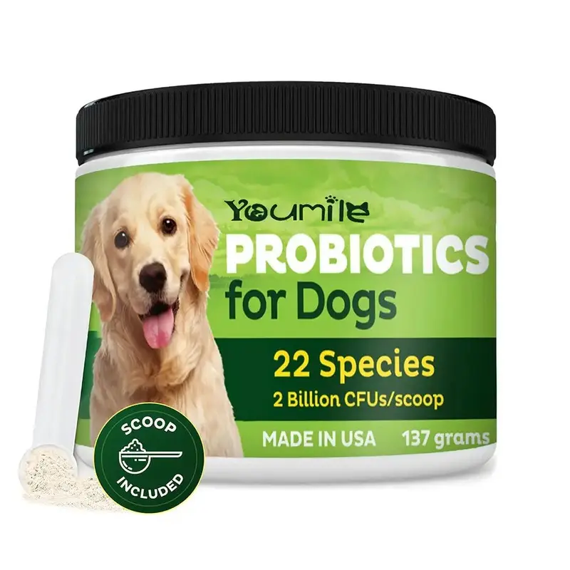 22-Species Probiotics for Dogs  Digestive Health & Antibiotics Recovery Support
