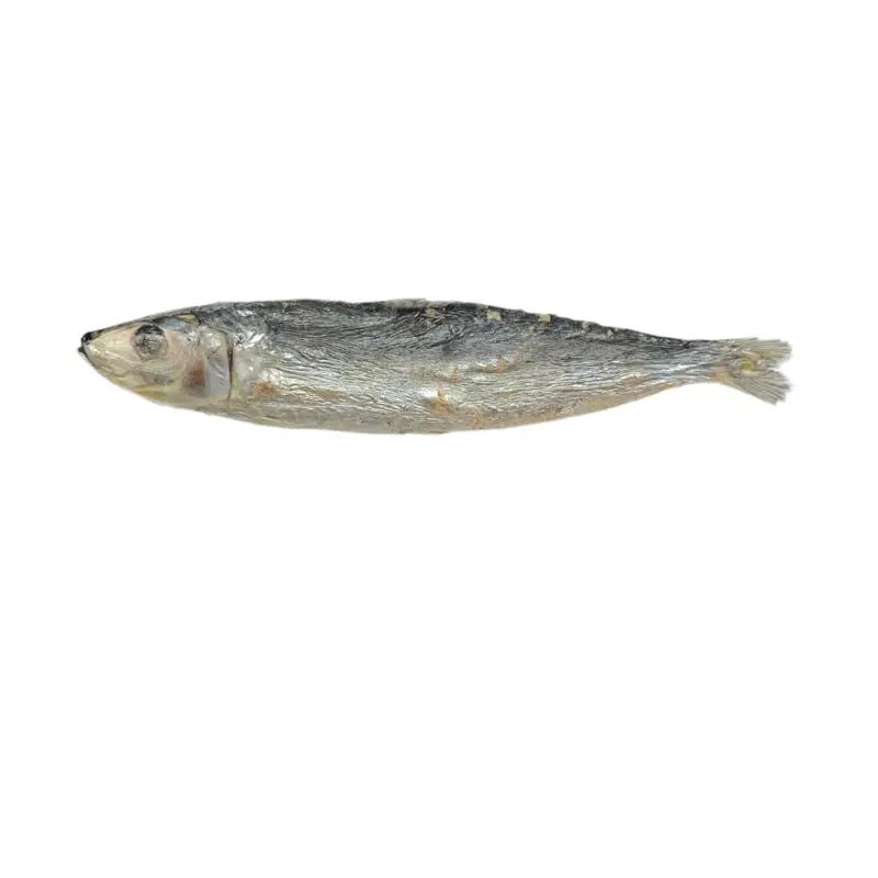 Freeze Dried Dog Treats - Freeze Dried Sardine