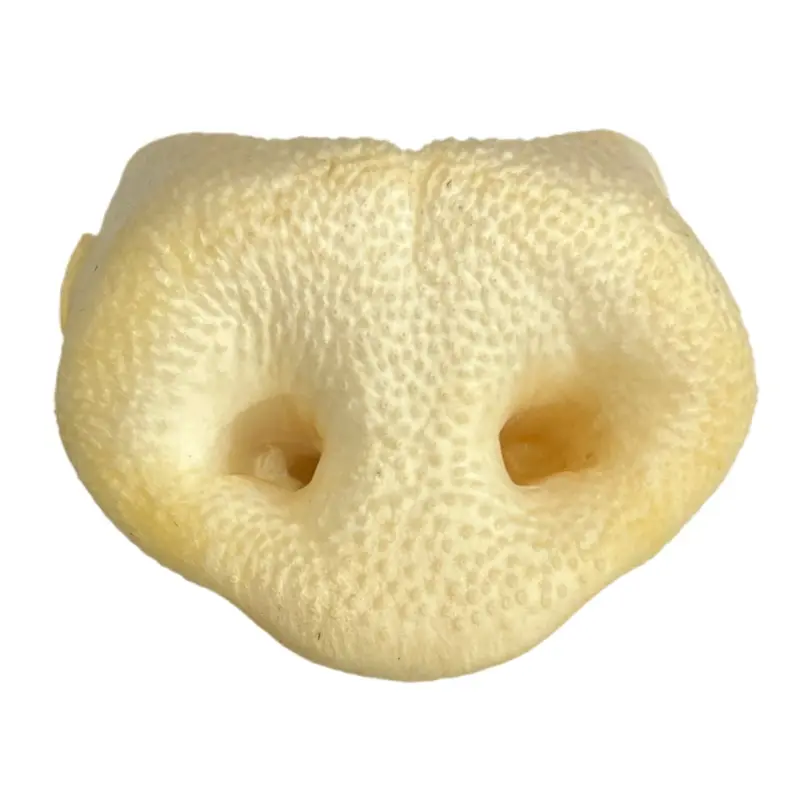 Pig Snouts NOSE Not Freeze Dried
