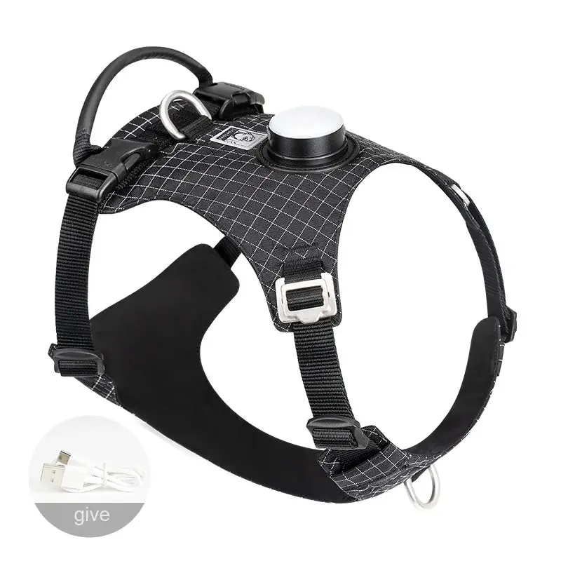 TrueLove Dog Harness with Light TLH6771