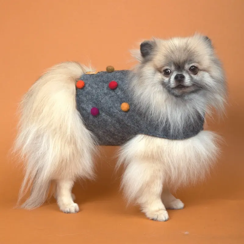 Polka Dots Cape Dog Coat -Grey/Jewel 100% Wool