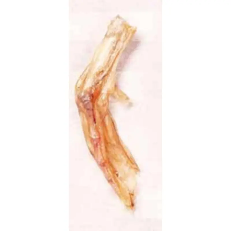 Duck Foot - Bulk Dog Treat