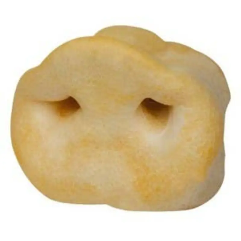 Puffy Pig Snouts