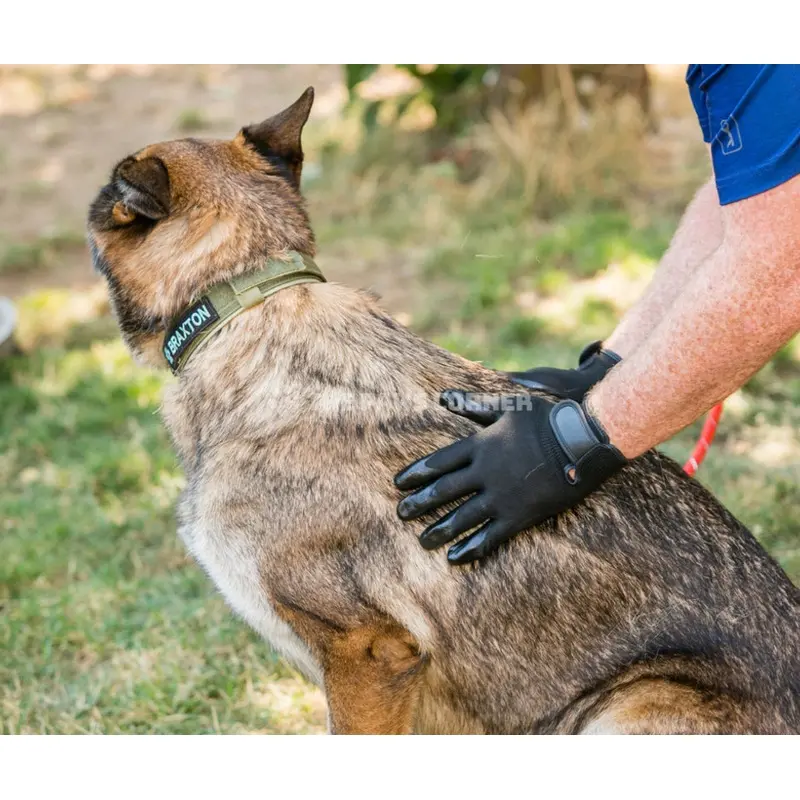 Ultimate Pet Grooming Glove