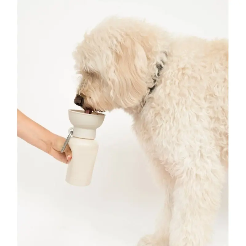 Springer Pets Dog Travel Water Bottle, 20 oz, Flip Silicone