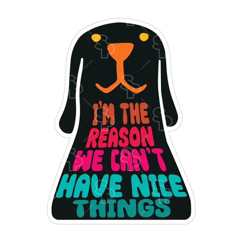 Sticker Pack Sticker- LRG I'm the Reason we can't have nice things