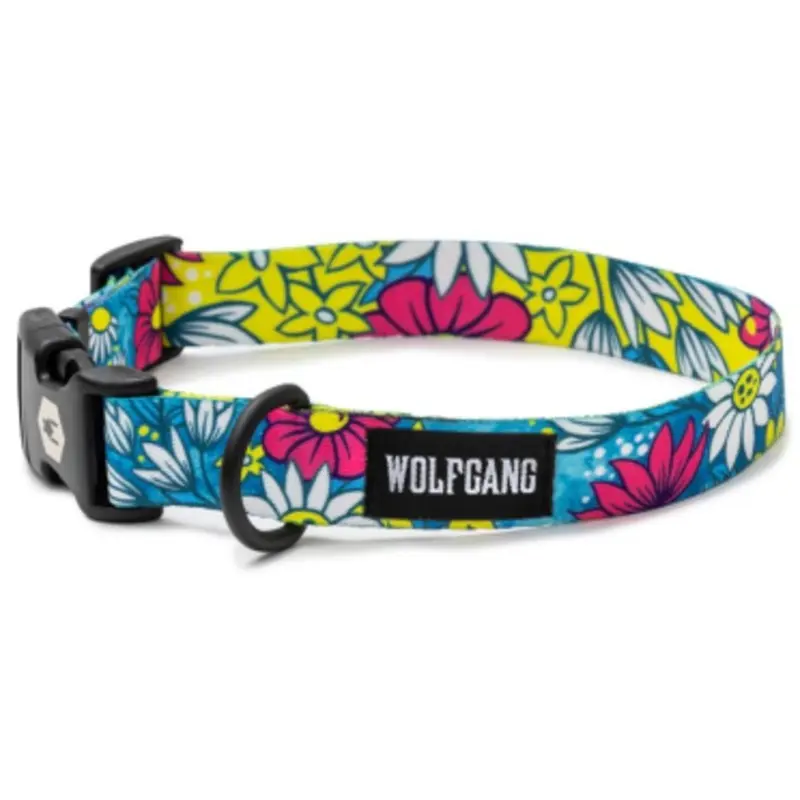 LazyDaisy Dog Collar