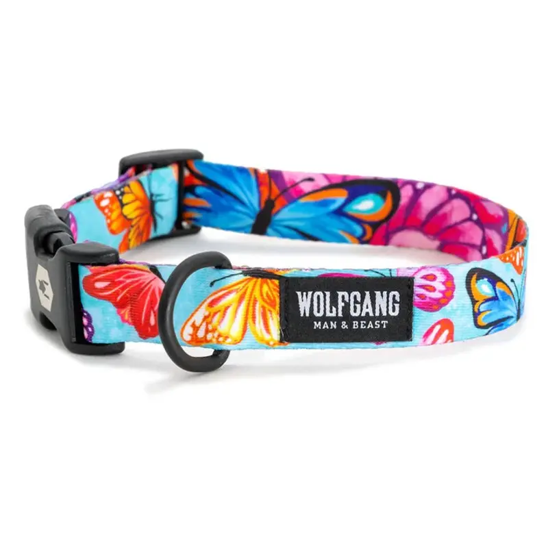 Wolfgang Dog Collar-Fluttercolor for Dogs with Adjustable Sizes and Durable Design