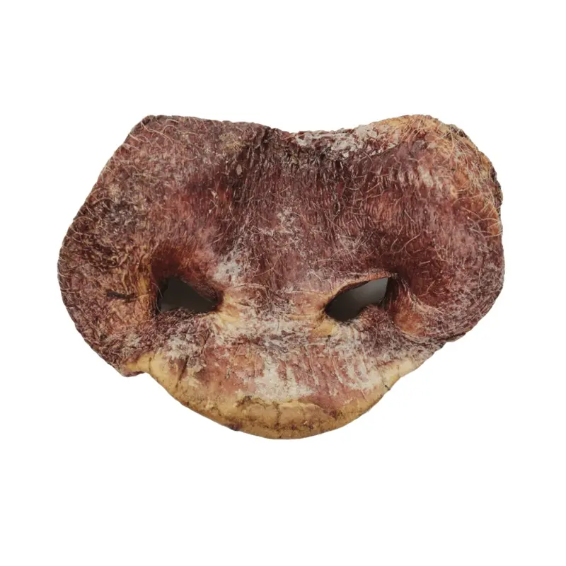 Vital Essentials Freeze-Dried Pig Snouts