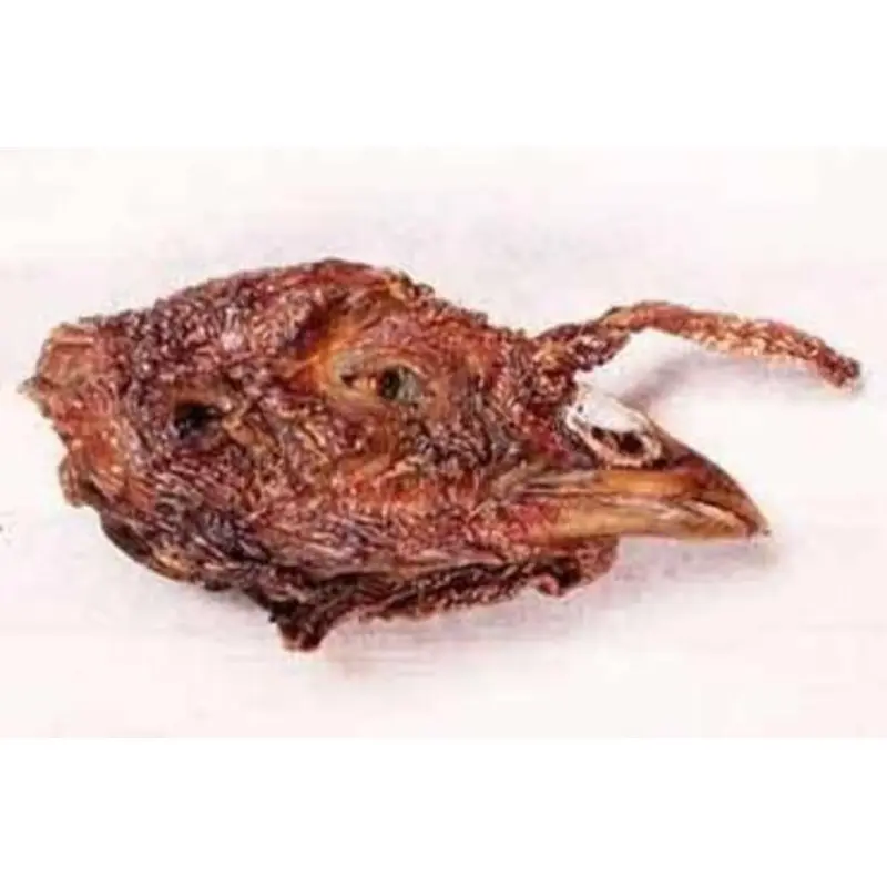 Turkey Head