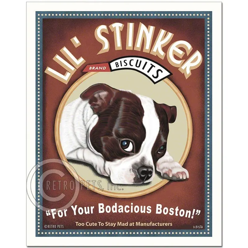 T-105  8x10 Print, Boston Terrier "Lil' Stinker, Brown/wh"