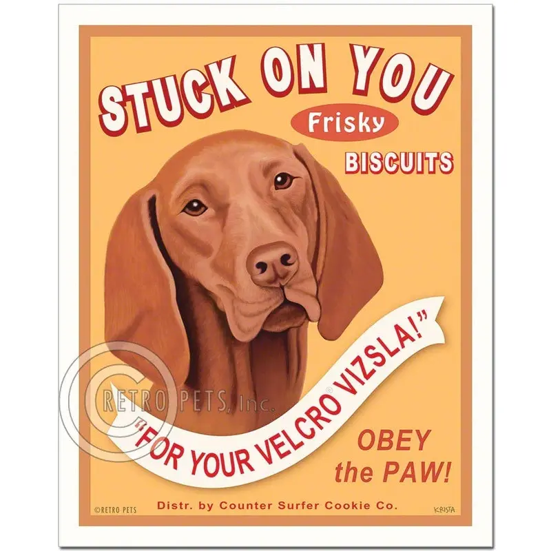 T-116  8x10 Art Print, Vizsla "Stuck On You"