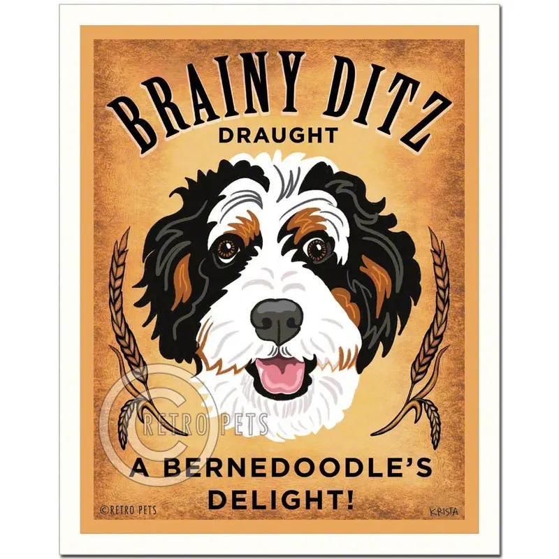 B-131  8x10 Art Print, Bernedoodle "Brainy Ditz"