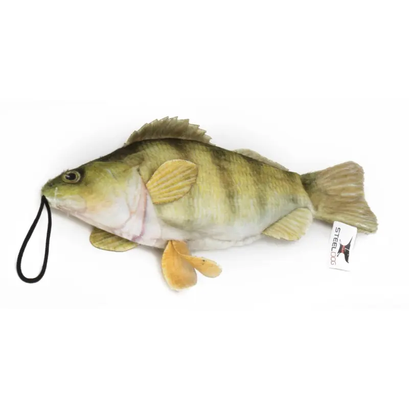 Freshwater Perch