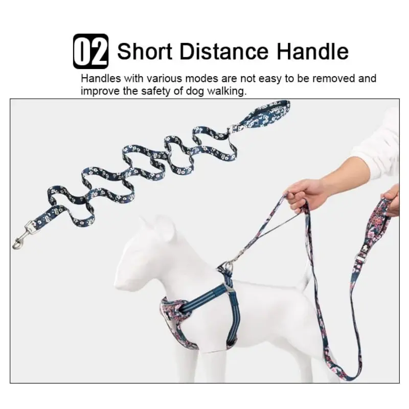 TrueLove Leash TLL3112