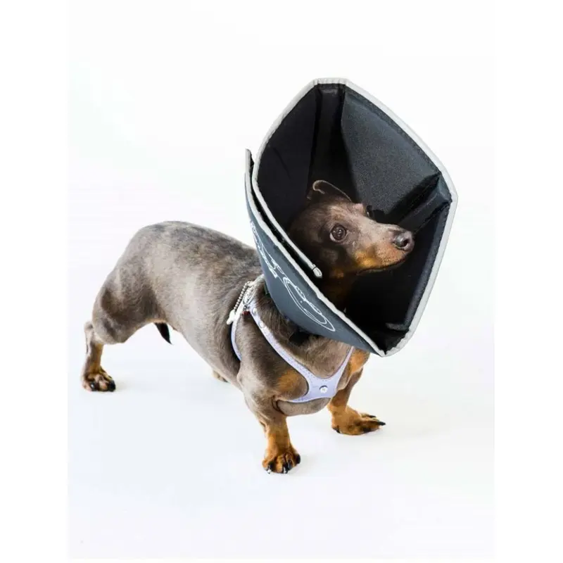 All Four Paws - The Original Comfy Cone