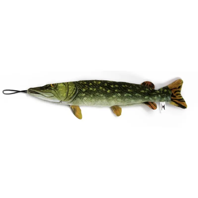 Freshwater Northern