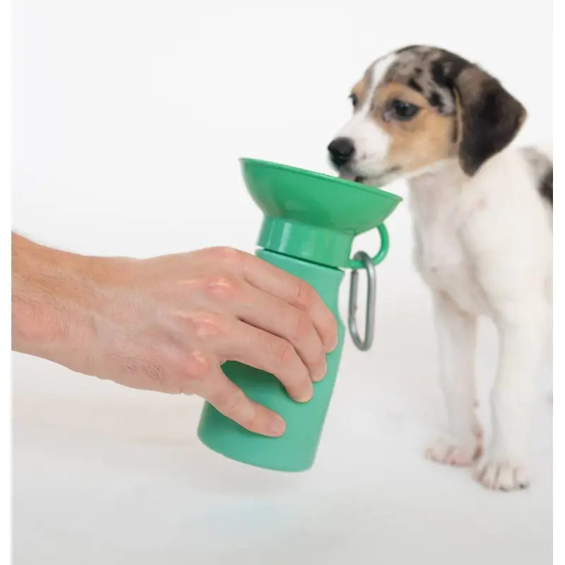 Springer - Dog Travel Water Bottle | Mini 15 oz
