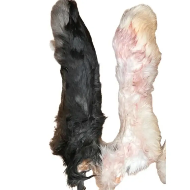Rabbit Feet (each) Bulk Dog Chew Natural Single Ingredient