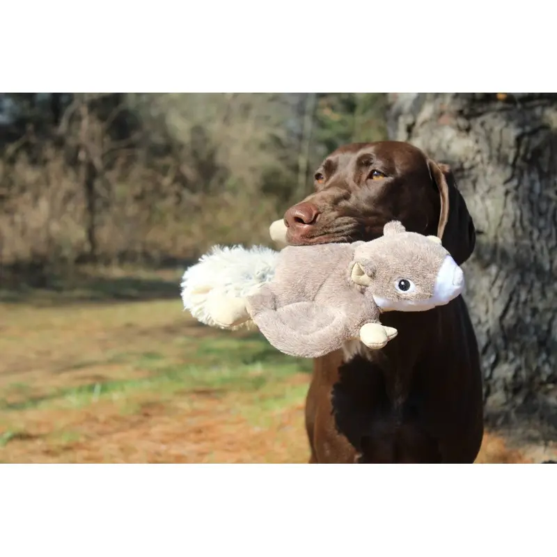 Tall Tails Dog Toy-Fly Squirrel : 12"