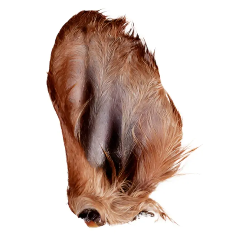 Farm Hound Beef Ear with Hair / Cow Ears