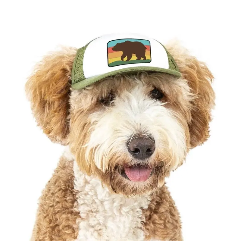 Bear Standard Lake Tahoe | Trucker Hat for Dogs