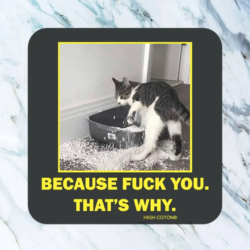 Because F*ck You. That's Why coaster