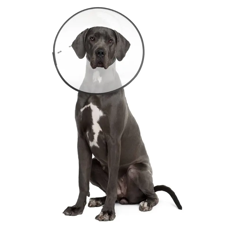 ZENPET E-Clear Plastic E-Collar for Pets  Durable and Comfortable Protective Collar