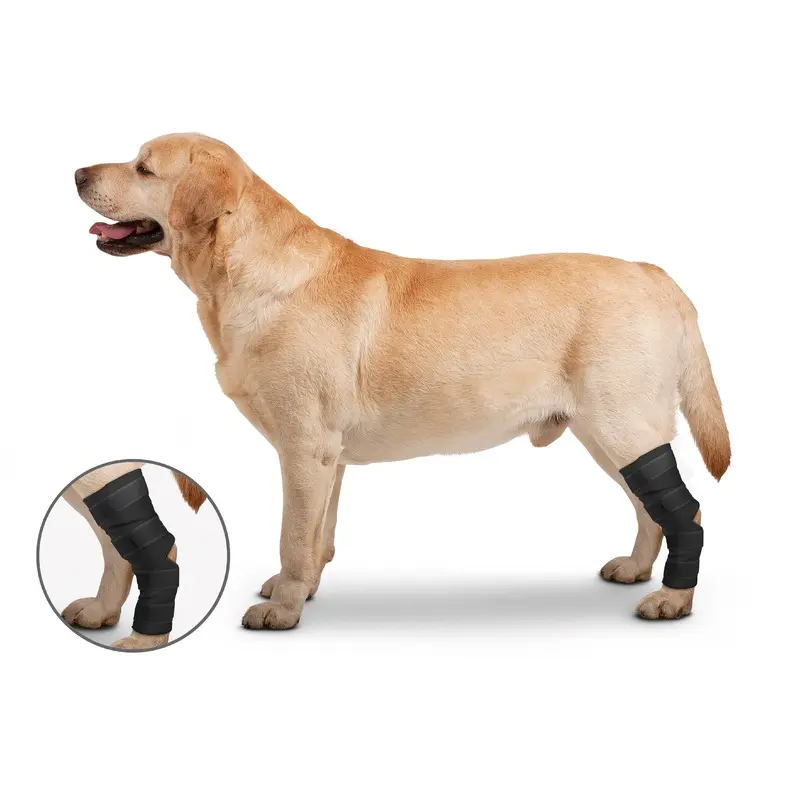 ZENPET - OrthoWrap Hock Protector