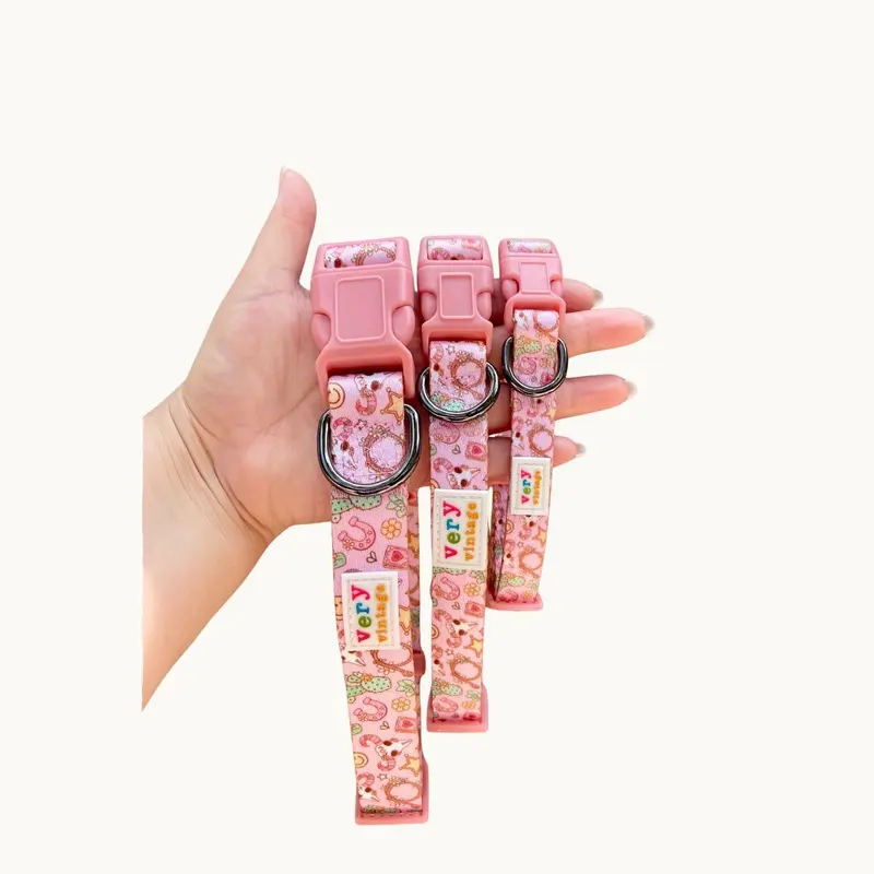 Pink Western Dog Collar  Cactus Cowgirl Lightweight Collar