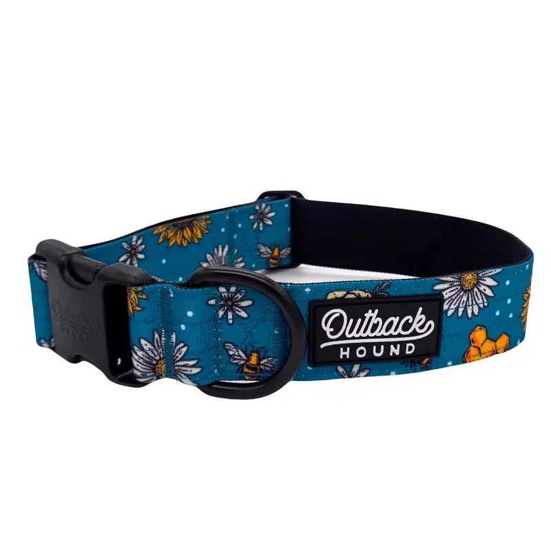 Bees Knees Teal Dog Collar