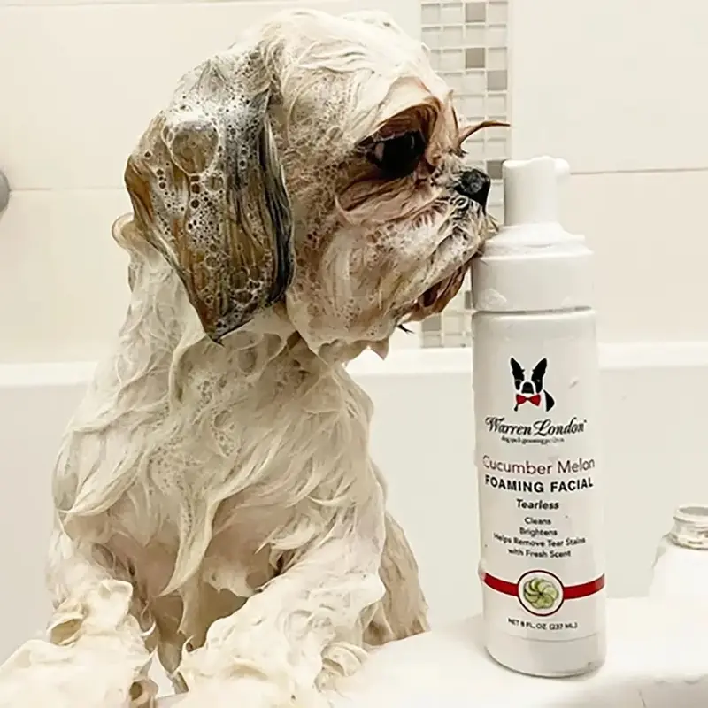 Warren London Foaming Dog Facial - Cucumber Melon 8 oz